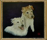 Jack Russell Terrier