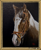 Paint Horse.