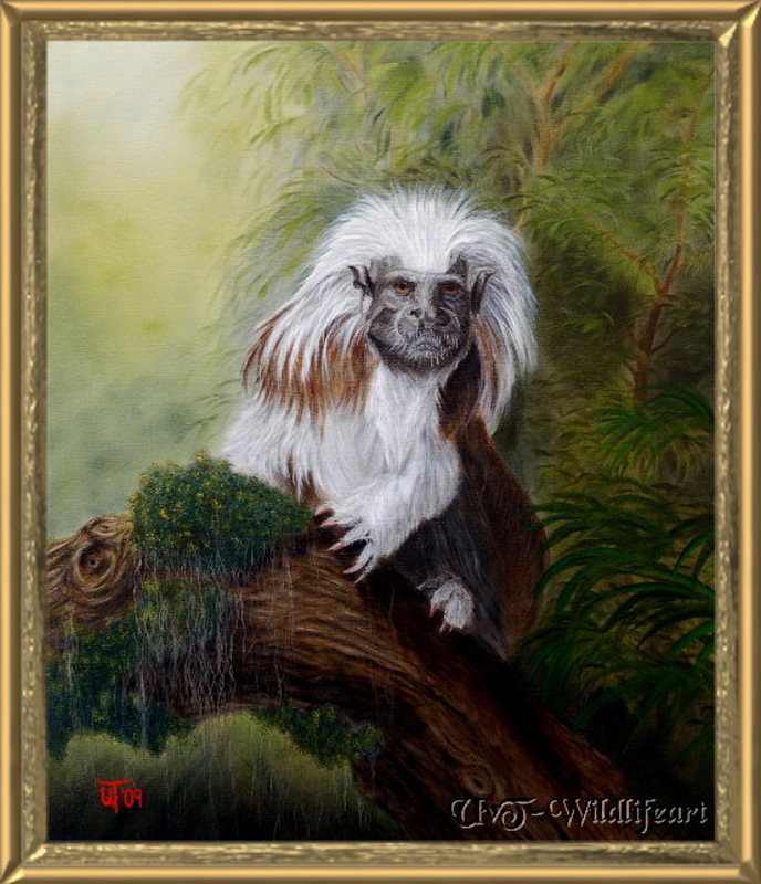 lisztaeffchen500